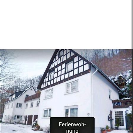 4 Erw. 1 Ki. Ski Entspannung Terasse Ausblick Schmallenberg Kültér fotó