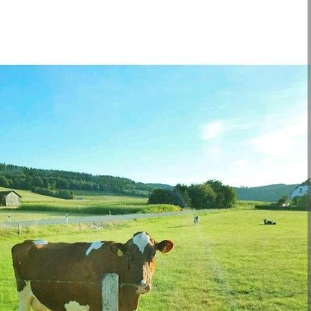 4 Erw. 1 Ki. Ski Entspannung Terasse Ausblick Schmallenberg Kültér fotó